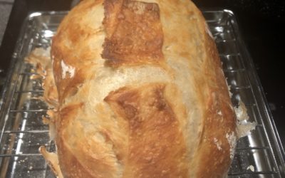 Comfort Food for a Quarantine – Home Made Bread Recipe